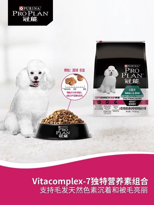 冠能挑食美毛犬粮小型犬粮泰迪挑食美毛配方全价通用成犬粮 商品图3