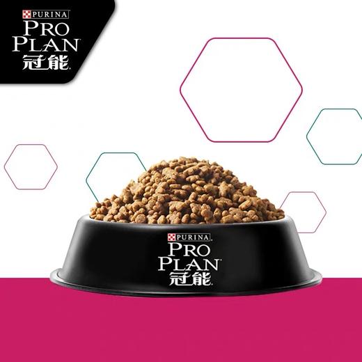 冠能挑食美毛犬粮小型犬粮泰迪挑食美毛配方全价通用成犬粮 商品图1