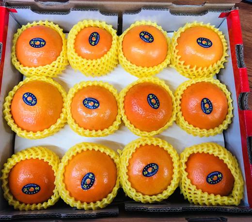 新鲜沃柑礼盒【TC】 商品图1