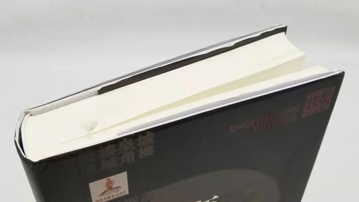 《百年城迹（1900-2010）》，精装，16开，蔡青著，金城出版社2014年版，586页，定价138，售价55元，非偏远地区包邮。品相9成。 商品图3