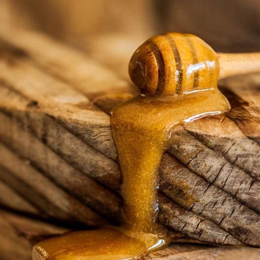 康维他(COMVITA)麦卢卡花蜂蜜UMF10+500g（新西兰原装进口） 商品图2