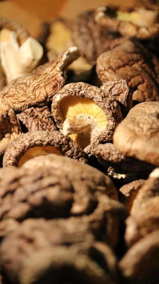 【精选】生态干花菇（250g)花菇是菌中之星，是香菇子实体在特殊环境下产生的一种优等菇。  商品图4