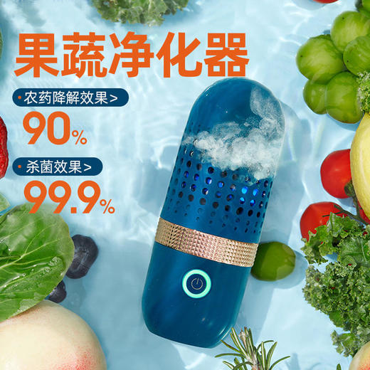 东菱胶囊果蔬净化器食材清洗机家用杀菌便携无线除农残自动洗菜机 商品图0