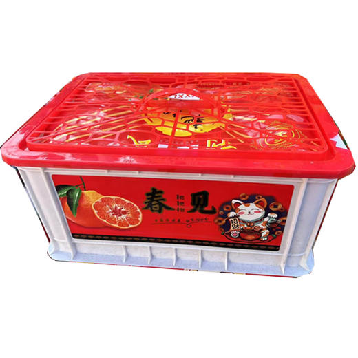 苹果/耙耙柑/广西沙糖橘/蜜橙/猕猴挑/果冻橙/白柚红柚/脐橙/富士苹果水果礼盒 商品图2