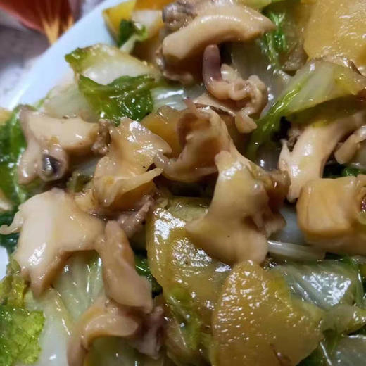 干冰海螺头，300克一盒，去壳海螺头海螺肉，干冰冷冻，极致锁鲜，口感接近鲜活，东三省包邮 商品图5