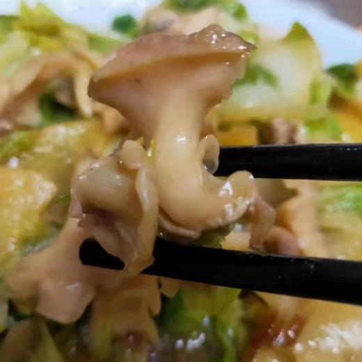 干冰海螺头，300克一盒，去壳海螺头海螺肉，干冰冷冻，极致锁鲜，口感接近鲜活，东三省包邮 商品图3