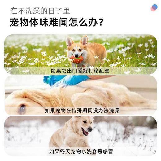【便携清洁 温和不刺激】猫咪狗狗清洁湿巾除臭撸猫沐浴洗澡用宠物免洗手套6片装干洗 商品图1