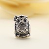 PANDORA/潘多拉 女士银色猫头鹰串饰 791502NSB 商品缩略图2