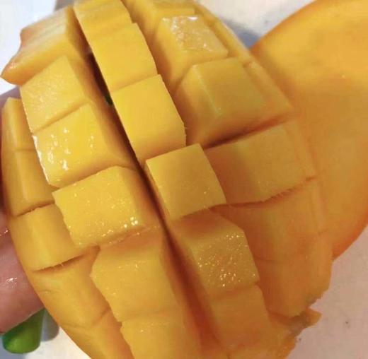 海南·树上熟水仙芒4斤 商品图0