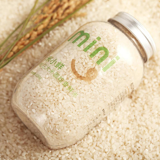 2022松江大米圆粒香米试吃2斤装 商品图1