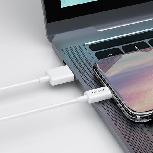 品胜 苹果数据线 手机ipad充电线 兼容iOS全系列 2.4A快速充电 多种长度可选 商品图6