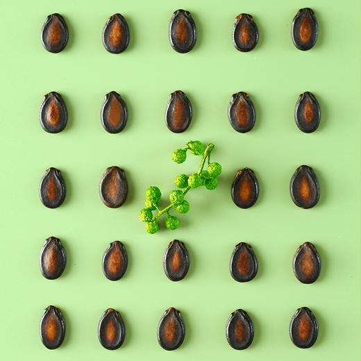 旭东中片2500g大包装藤椒味西瓜籽西瓜子零食坚果炒货年货食品 商品图2