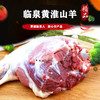 旺鲜汪临泉单桥镇张老庄村带骨现杀山羊肉（生鲜） 商品缩略图0