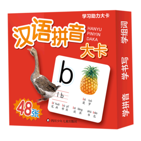 汉语拼音大卡/学习助力大卡