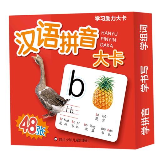 汉语拼音大卡/学习助力大卡 商品图0