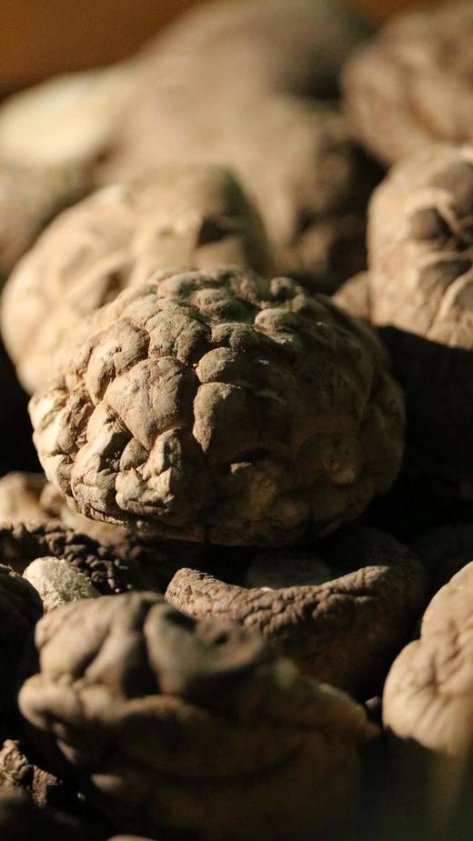 【精选】生态干花菇（250g)花菇是菌中之星，是香菇子实体在特殊环境下产生的一种优等菇。  商品图2