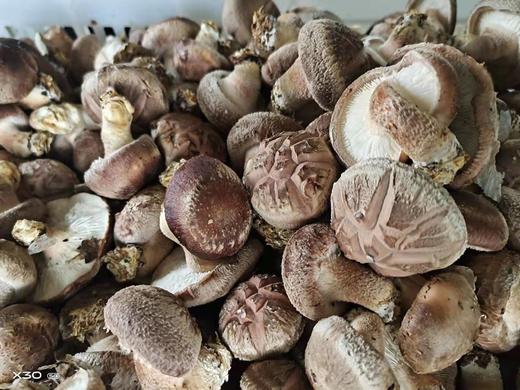 【精选】生态鲜花菇（250g) 商品图1