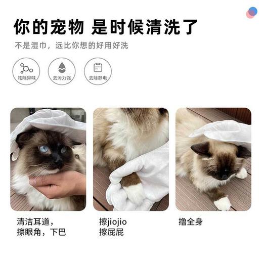 【便携清洁 温和不刺激】猫咪狗狗清洁湿巾除臭撸猫沐浴洗澡用宠物免洗手套6片装干洗 商品图2