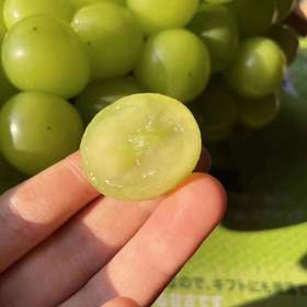 晴王香印葡萄5-5.5斤