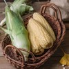 【玉米的天花板】高叶酸玉米中国农科院8年研发非转基因0农残【三甜一糯】你要的玉米口感都有 商品缩略图2