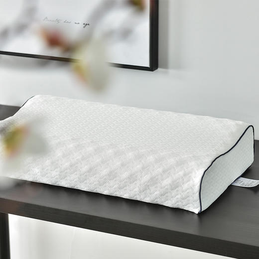 杉杉 3D天然乳胶枕 QFS-18752 商品图0