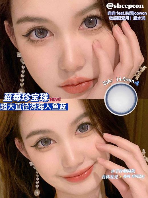 sheepcon 年抛 蓝莓珍宝珠 商品图0