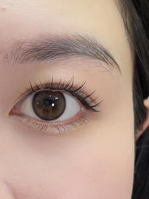 Bangcostar 可可球 日抛 10片 14.2mm  着色13.3mm  基弧8.6 含水40% 新锐国货 商品图2