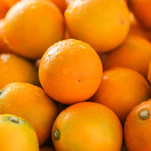 【年货节】【融安金桔】金桔界天花板来自广西融安核心产区|不酸麻、不苦涩，脆甜水嫩只采摘甜度大于20度的精品大果,净重约5斤 商品图0