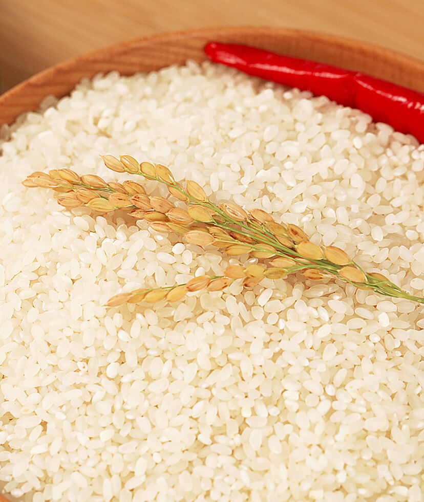 2021松江大米圆粒香米10斤装