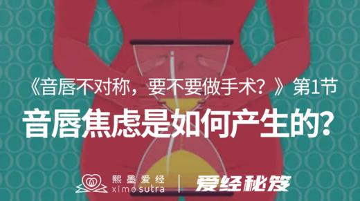 第1节 音唇焦虑是如何产生的呢？ 商品图0