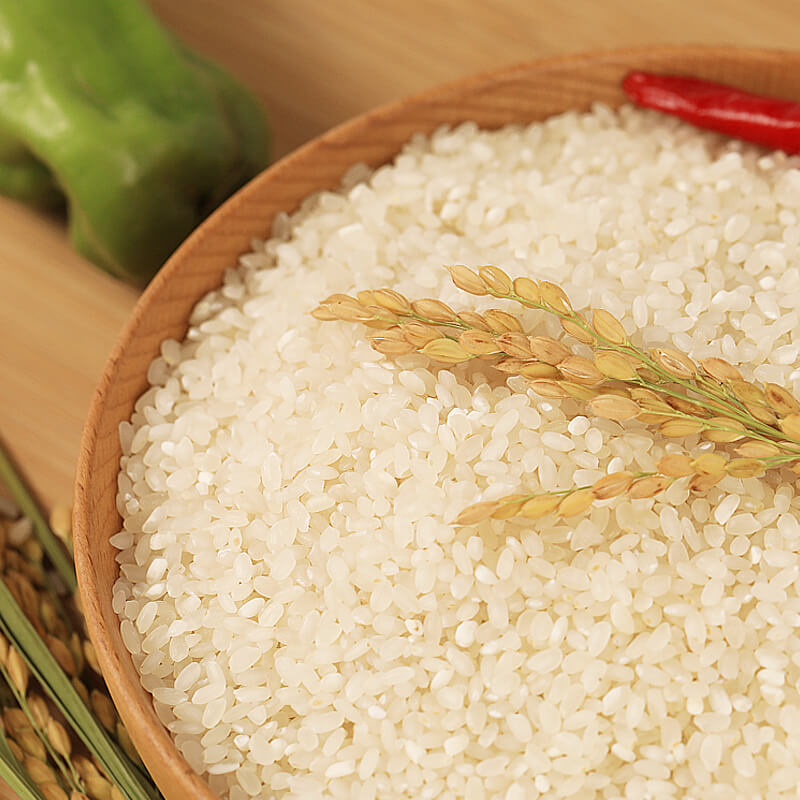 2025松江大米新米上市！松香粳1018圆粒香米