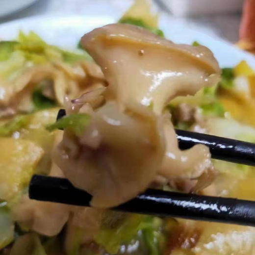 干冰海螺头，300克一盒，去壳海螺头海螺肉，干冰冷冻，极致锁鲜，口感接近鲜活，东三省包邮 商品图2