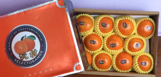 广西沃柑精品礼盒【TC】 商品图1