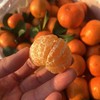 直采·砂糖橘1框（9斤左右） 商品缩略图0