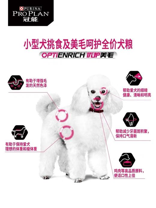 冠能挑食美毛犬粮小型犬粮泰迪挑食美毛配方全价通用成犬粮 商品图2