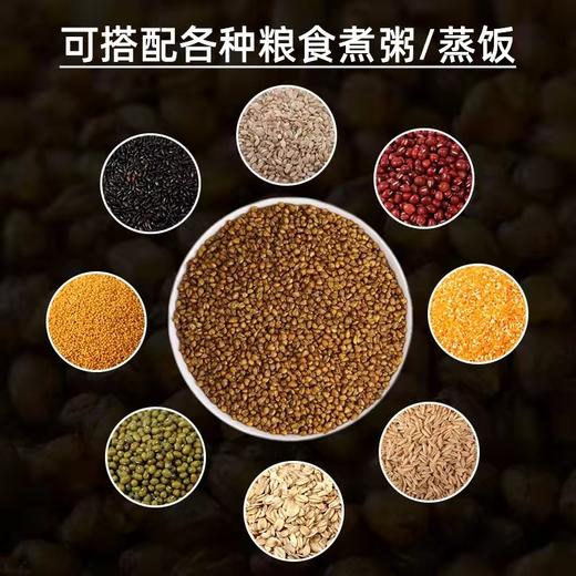 昭通高寒山区黑苦荞胚芽米 商品图1