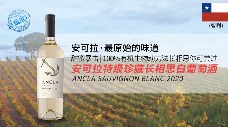 智利-安可拉特藏长相思白葡萄酒2022年