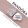PANDORA/潘多拉 甜心宝贝925银串饰 791555CZS 银色 商品缩略图3