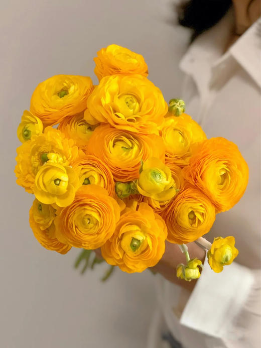 洋牡丹一扎（颜色随机） 商品图0