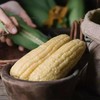 【玉米的天花板】高叶酸玉米中国农科院8年研发非转基因0农残【三甜一糯】你要的玉米口感都有 商品缩略图1