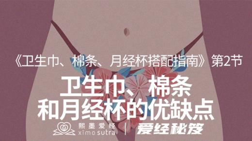 第2节 卫生巾、棉条和月经杯的优缺点 商品图0