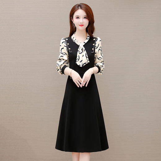 YWE KDY21A8801气质优雅长袖印花连衣裙 商品图1