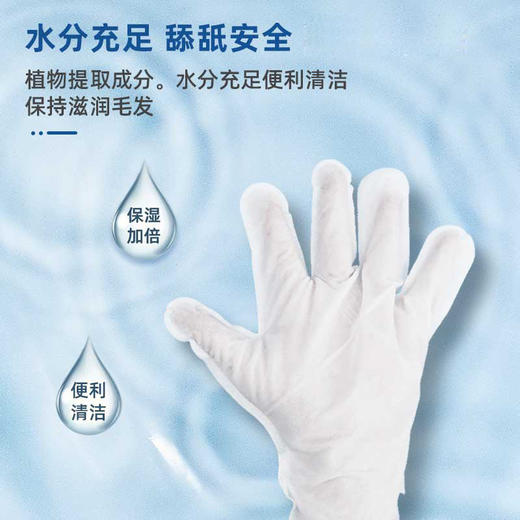 【便携清洁 温和不刺激】猫咪狗狗清洁湿巾除臭撸猫沐浴洗澡用宠物免洗手套6片装干洗 商品图3