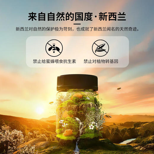 康维他(COMVITA)麦卢卡花蜂蜜(UMF5+)500g（新西兰原装进口） 商品图5
