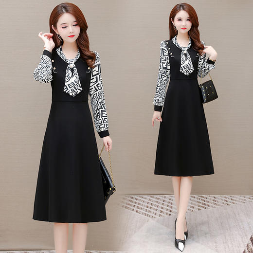 YWE KDY21A8801气质优雅长袖印花连衣裙 商品图0