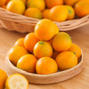 【年货节】【融安金桔】金桔界天花板来自广西融安核心产区|不酸麻、不苦涩，脆甜水嫩只采摘甜度大于20度的精品大果,净重约5斤 商品缩略图1