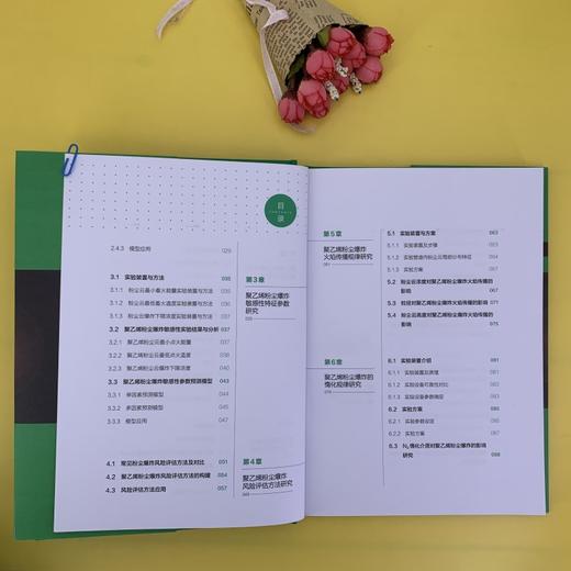 聚乙烯粉尘爆炸与惰化防爆 聚乙烯粉尘爆炸风险评估书籍 聚乙烯爆炸灾害预防书籍 从事安全工程化学工程爆炸力学技术人员应用书籍 化学工业出版社 9787122398802 商品图2