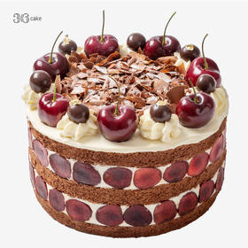 黑森林，可选1.5/2.5/3.5/6磅（fwh）