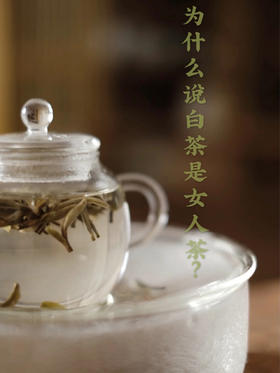 弘通禅茶丨为什么白茶是女人茶？建议收藏哦。