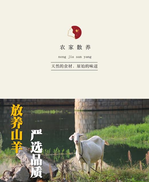 旺鲜汪临泉单桥镇张老庄村带骨现杀山羊肉（生鲜） 商品图4